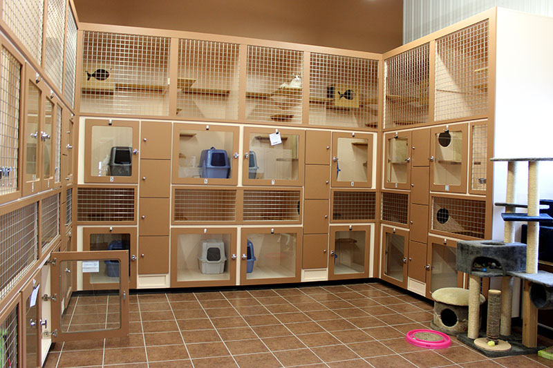 Boarding facilities for store cats