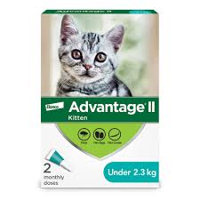 Advantage II under 4kg